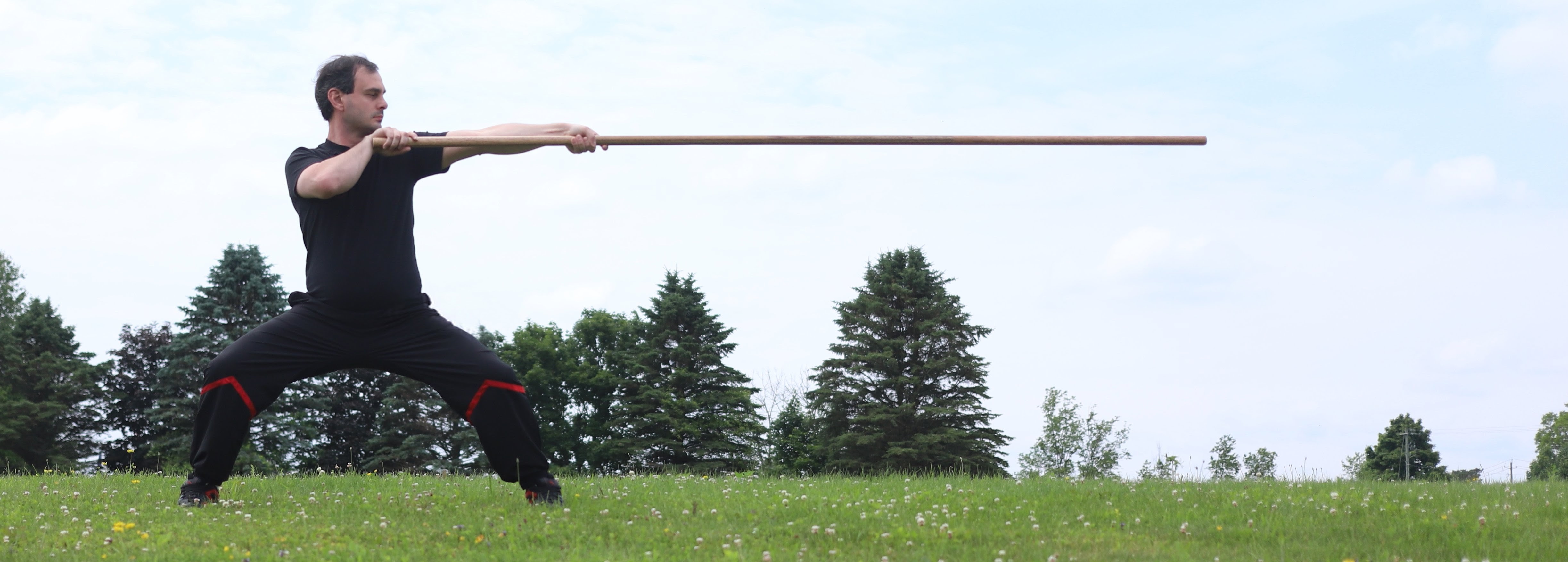 Wing Tsun (Wing Chun) kick banner photo